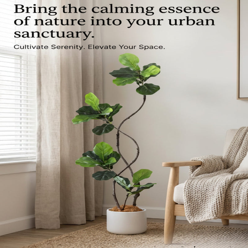A tall fiddle-leaf fig plant in a white pot stands in a bright, neutral-toned room beside a window with beige curtains and a wooden armchair with a knitted throw blanket. Text at the top reads, 'Bring the calming essence of nature into your urban sanctuary.